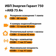 ИБП для котла Энергия Гарант 750 + Аккумулятор 75 Ач 12 В (450Вт - 91мин) - ИБП и АКБ - ИБП для котлов - . Магазин оборудования для автономного и резервного электропитания Ekosolar.ru в Саратове